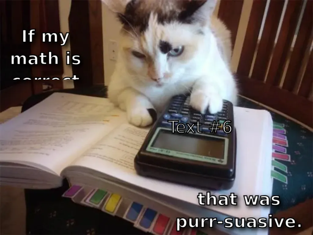 Math cat