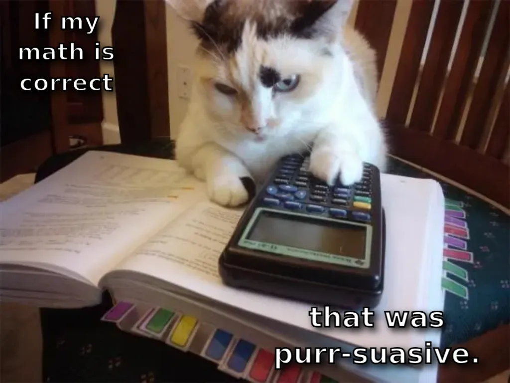 Math cat