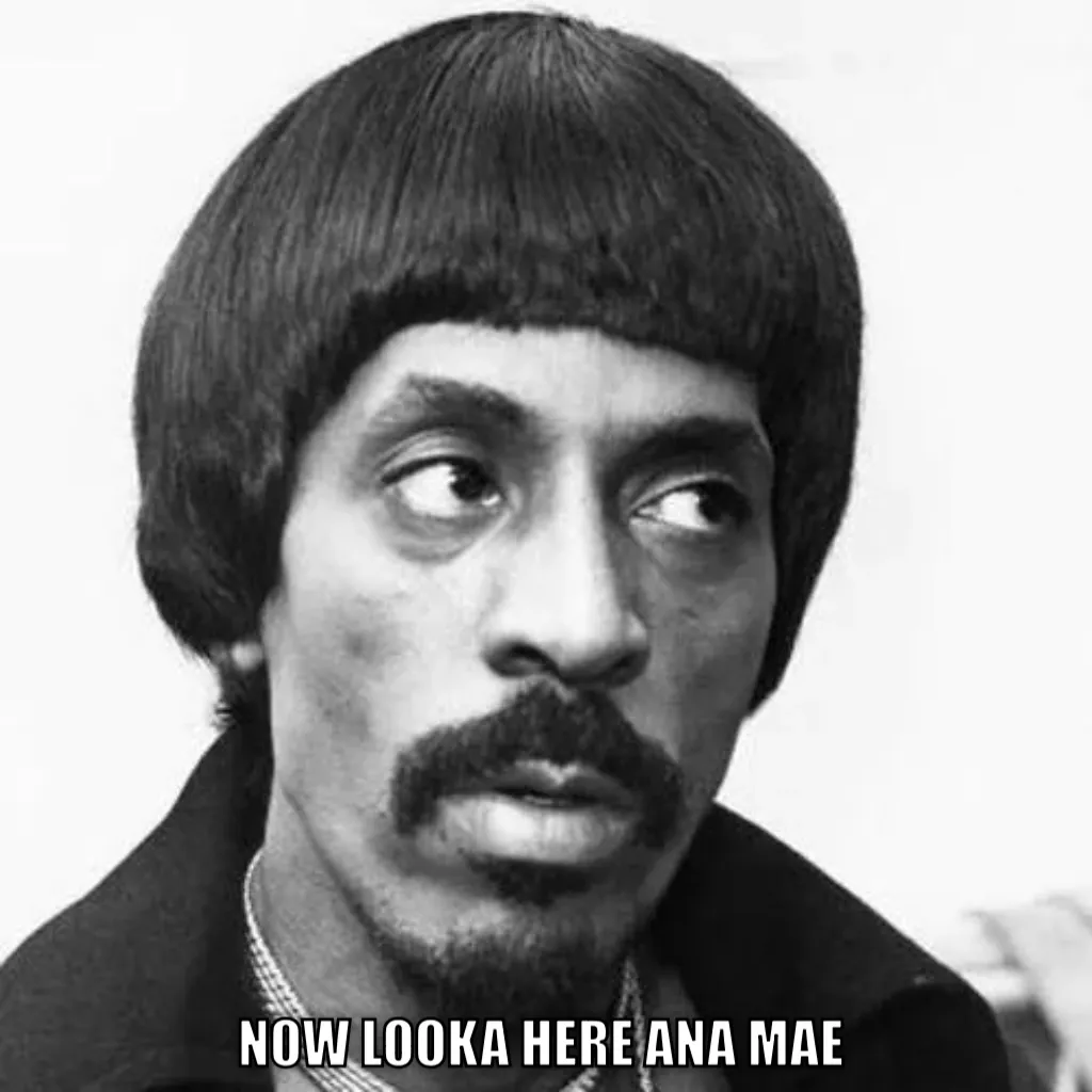 ike turner