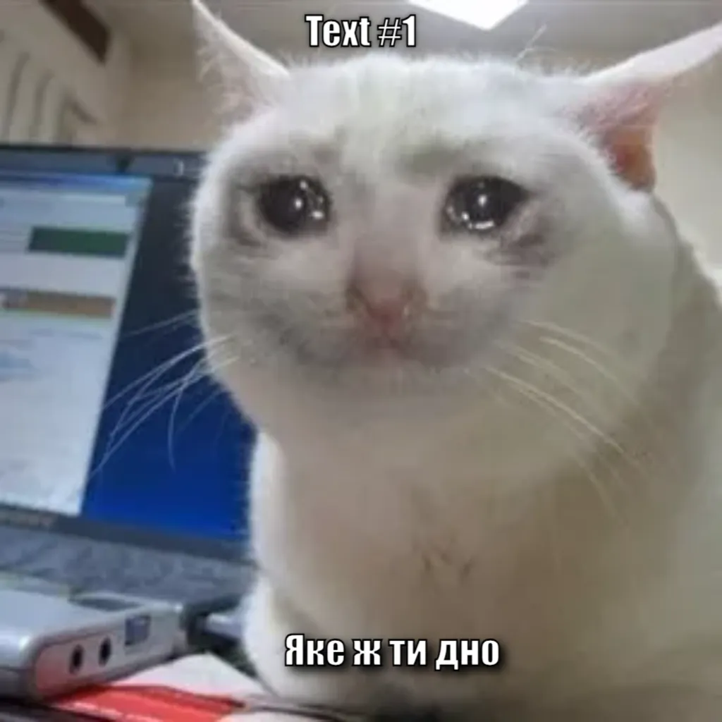 Crying cat