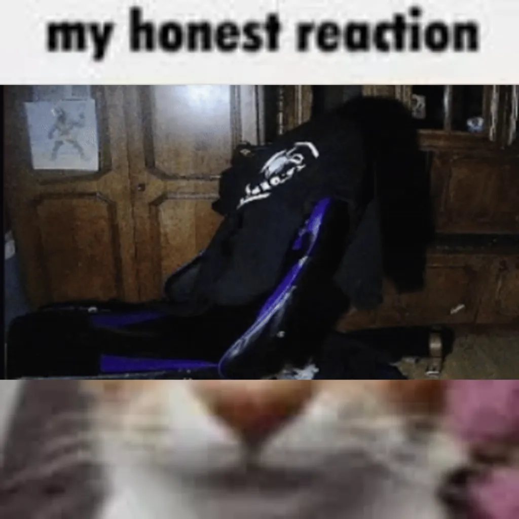 My Honest Reaction