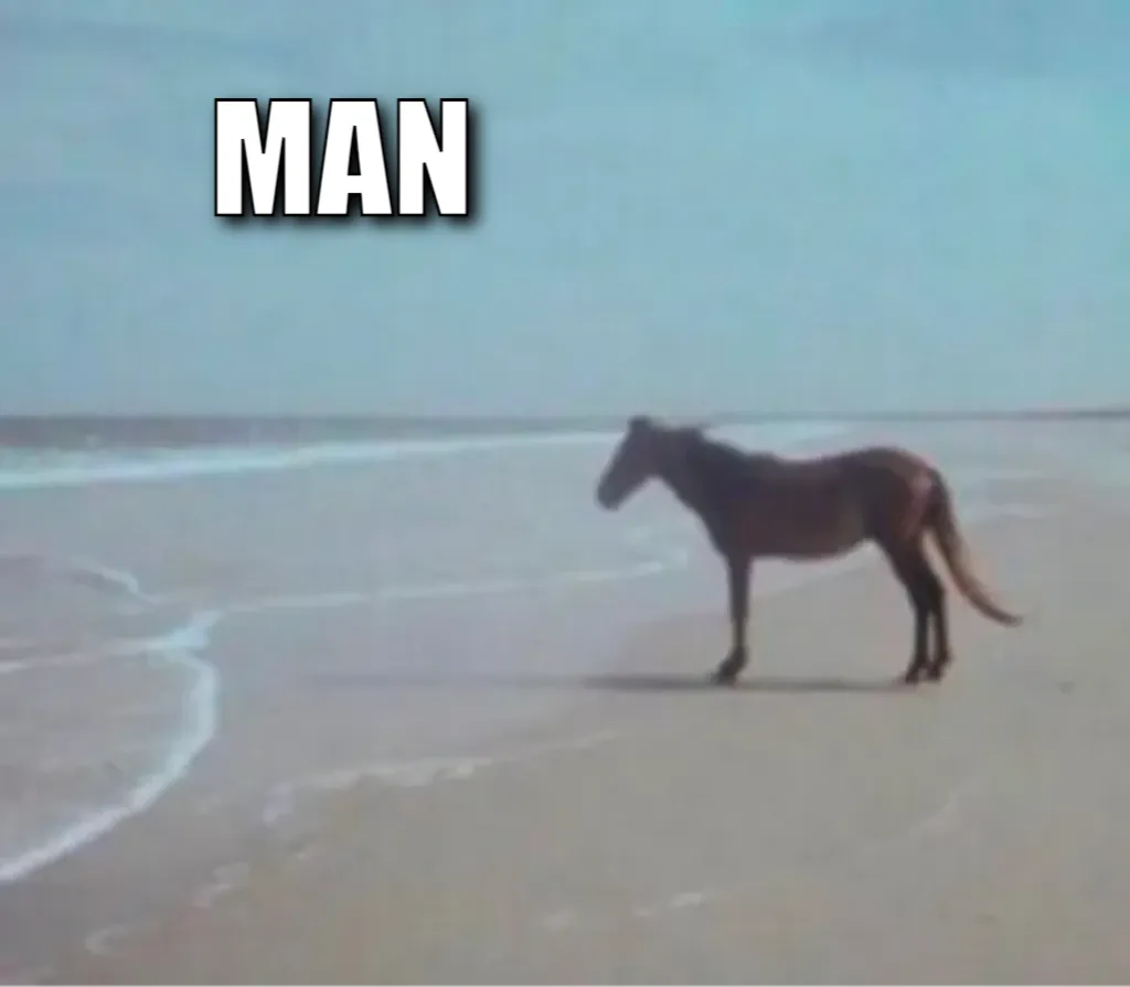 Man Horse Water 