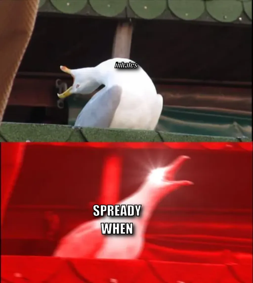 screaming seagull