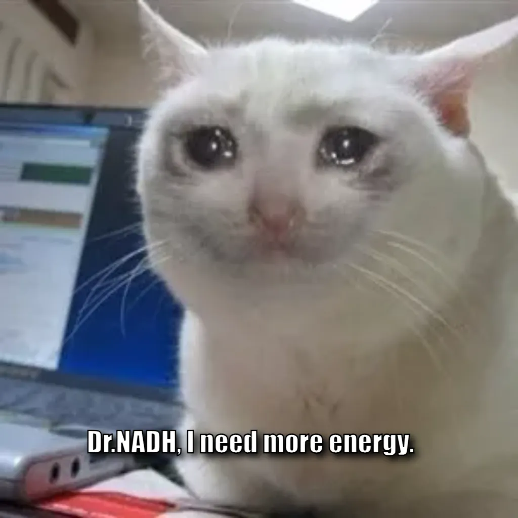 Crying cat