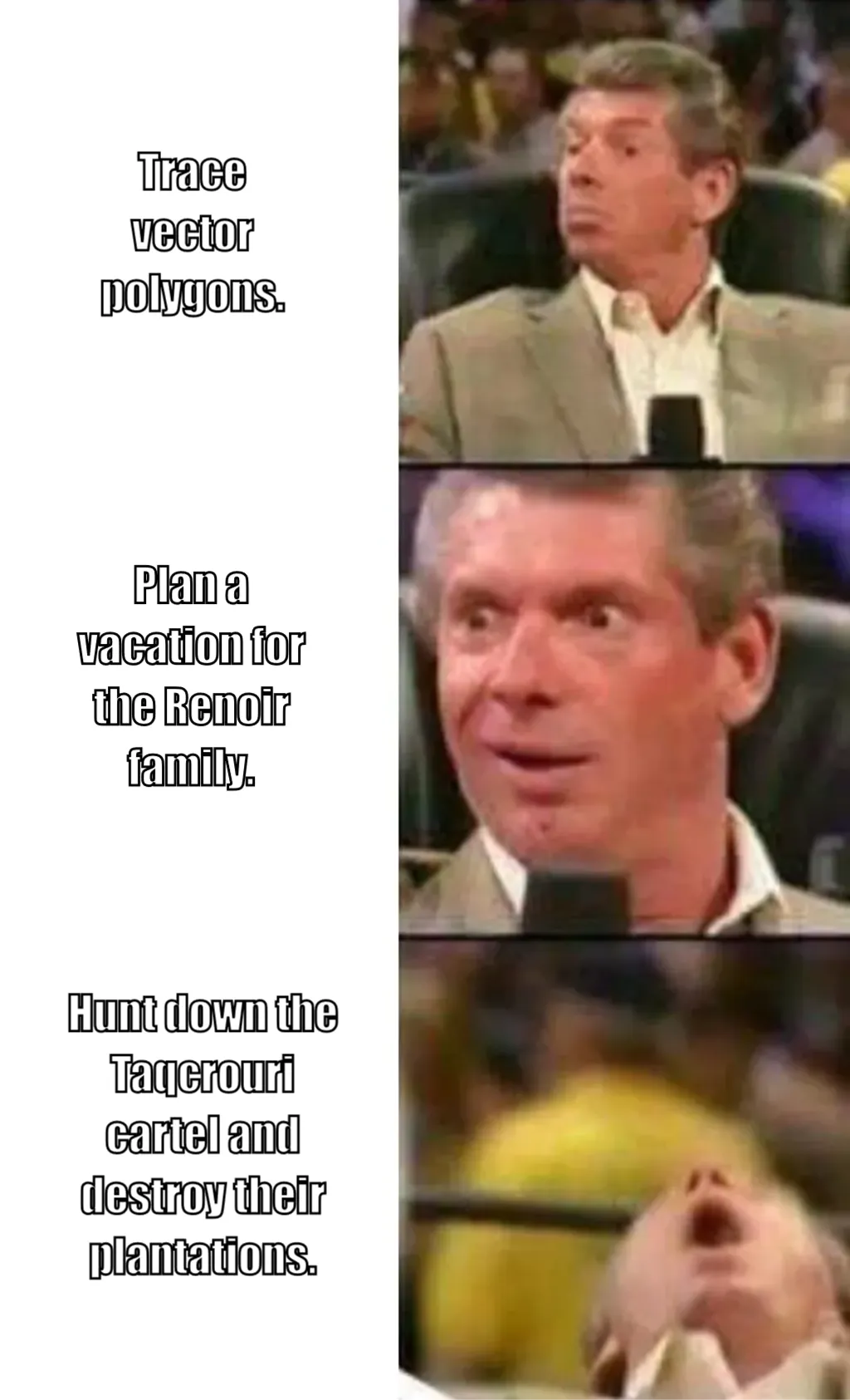 vince mcmahon