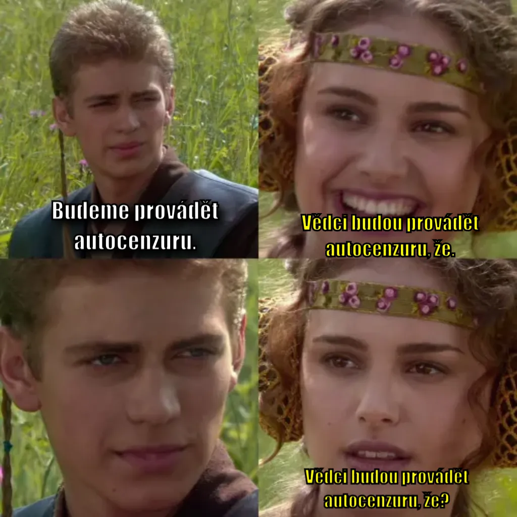 Anakin Padme 4 Panel