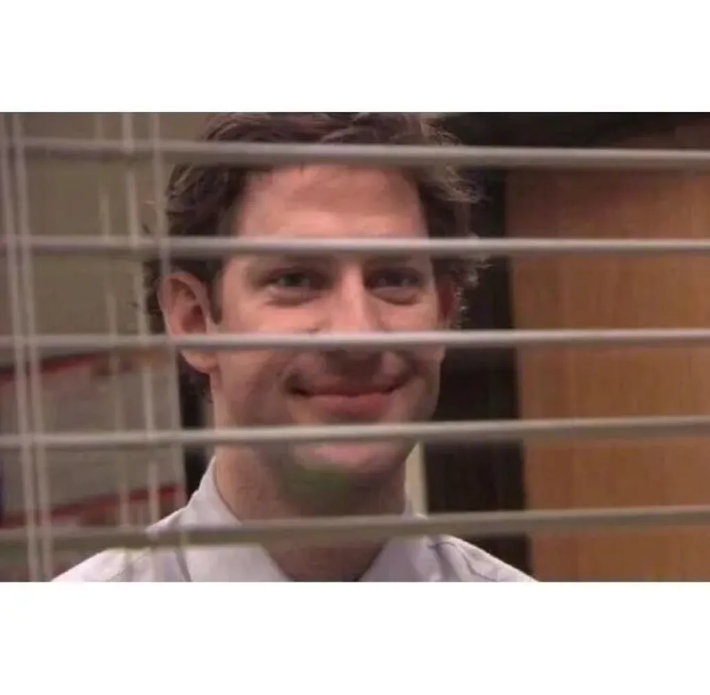 Jim Office Blinds