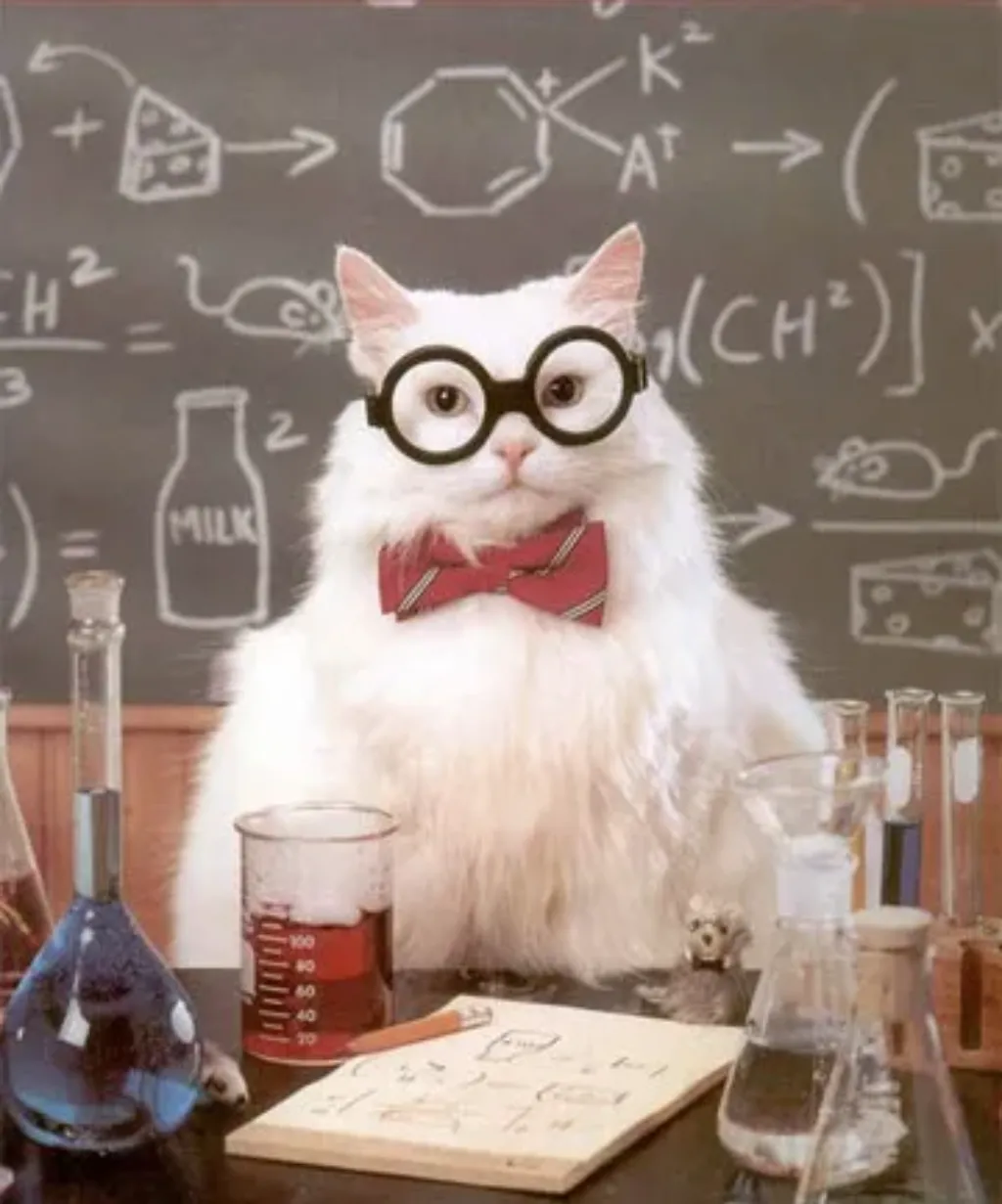 Science Cat Physics