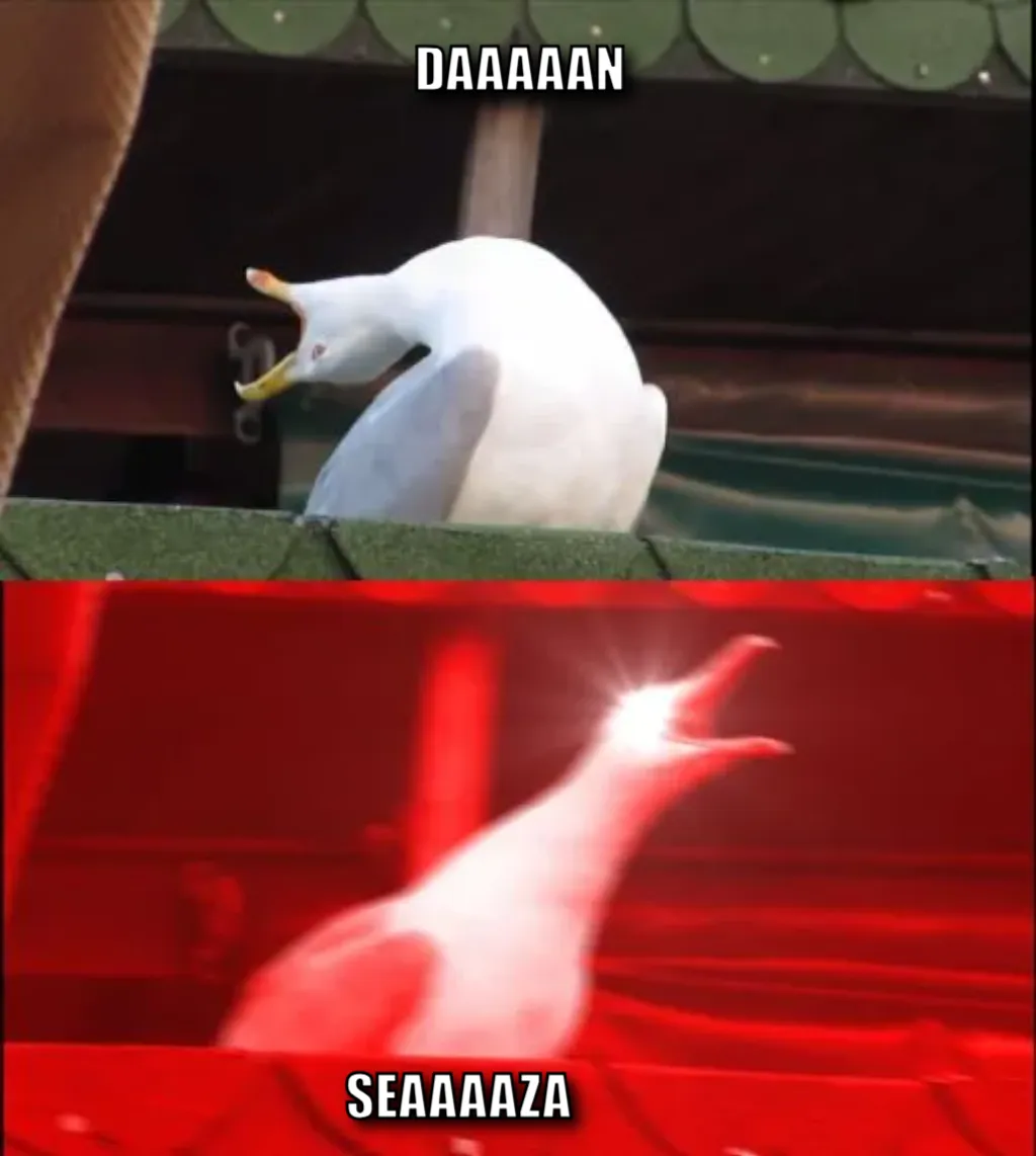 screaming seagull