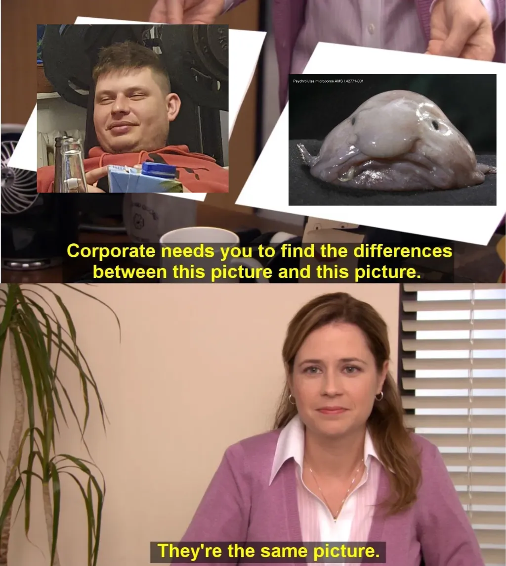 They're The Same Picture