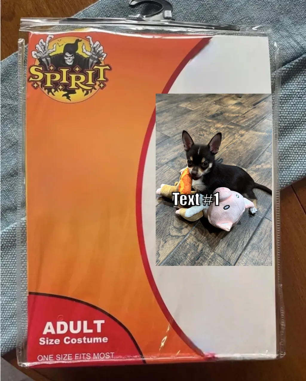 Spirit Halloween Costume