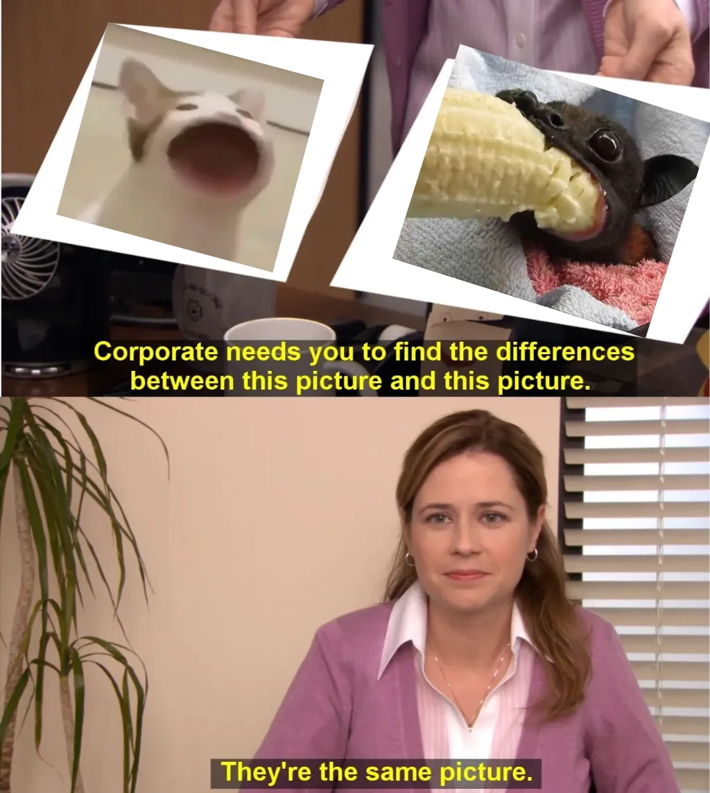 They're The Same Picture