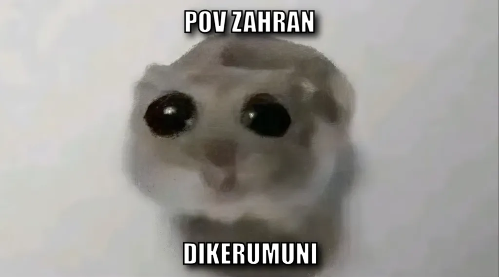 Sad Hamster / Hamster With Big Eyes / Crying Hamster