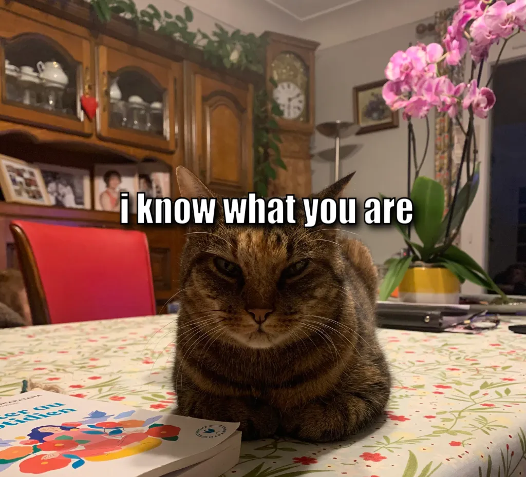I know what you are