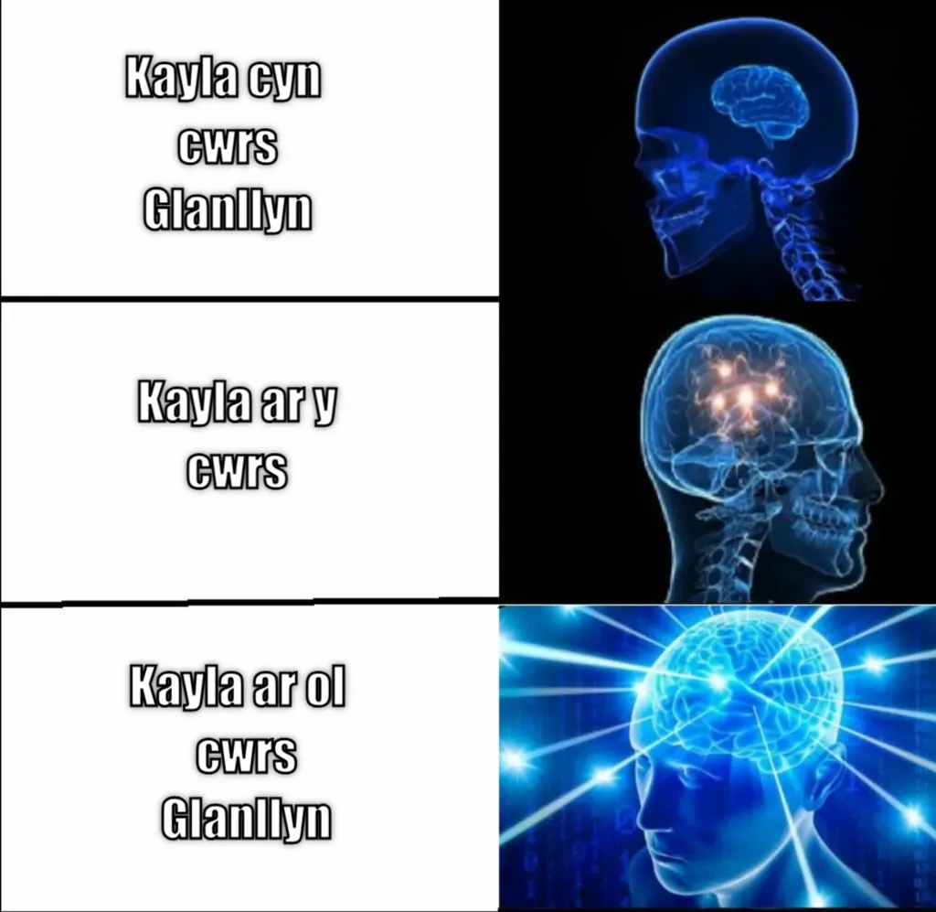 galaxy brain