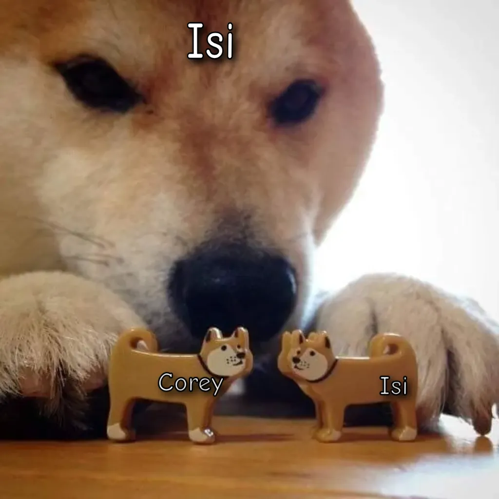 Meme Image