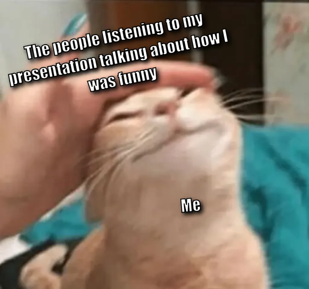 Cat being pet