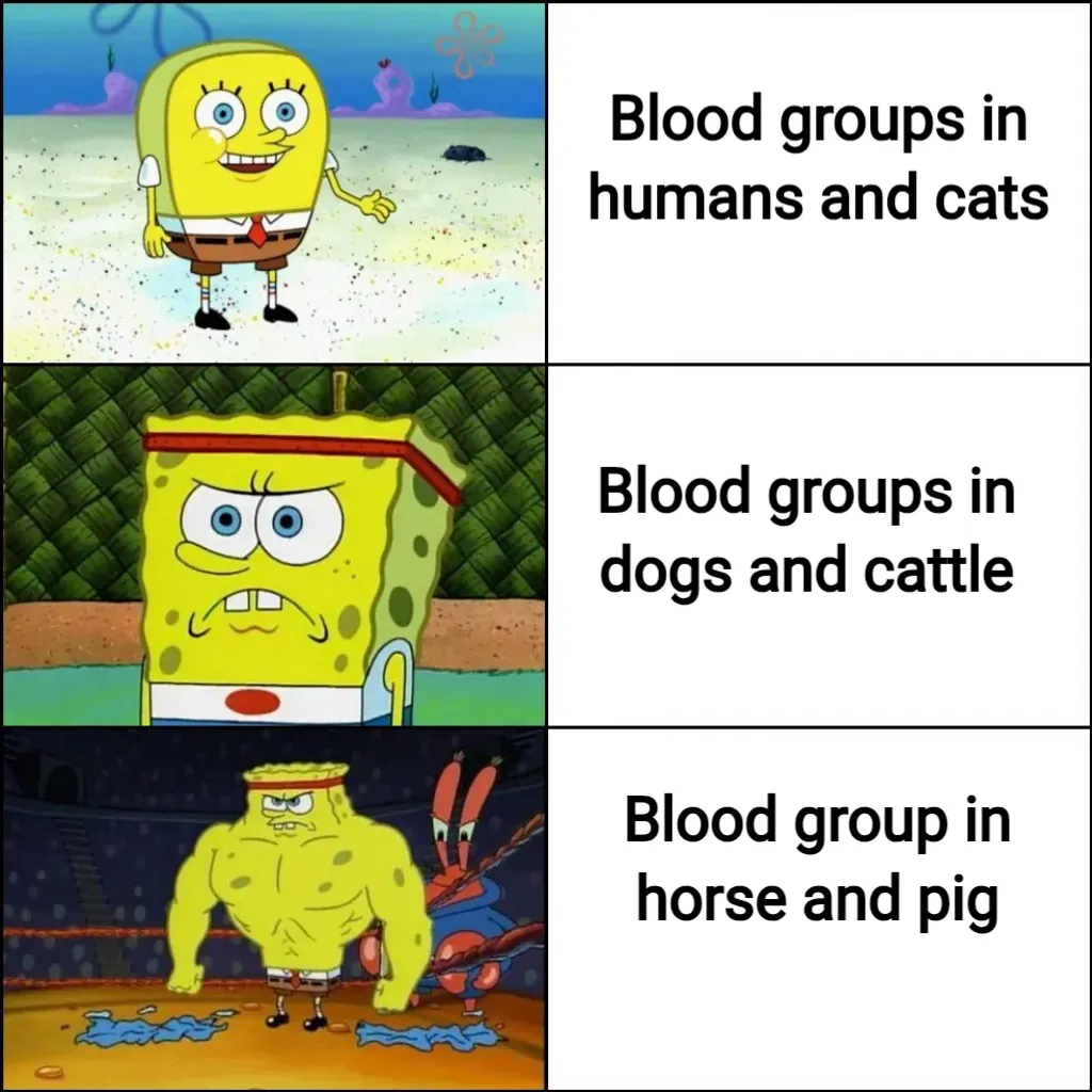 Stronk spongebob