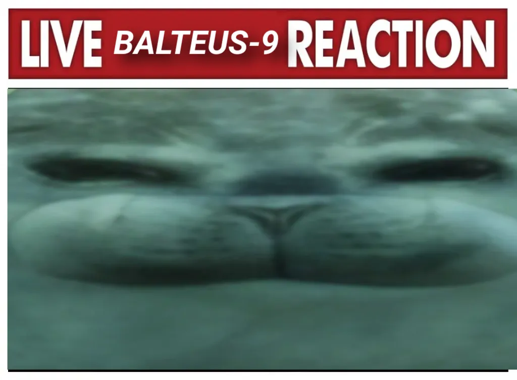 Meme Image