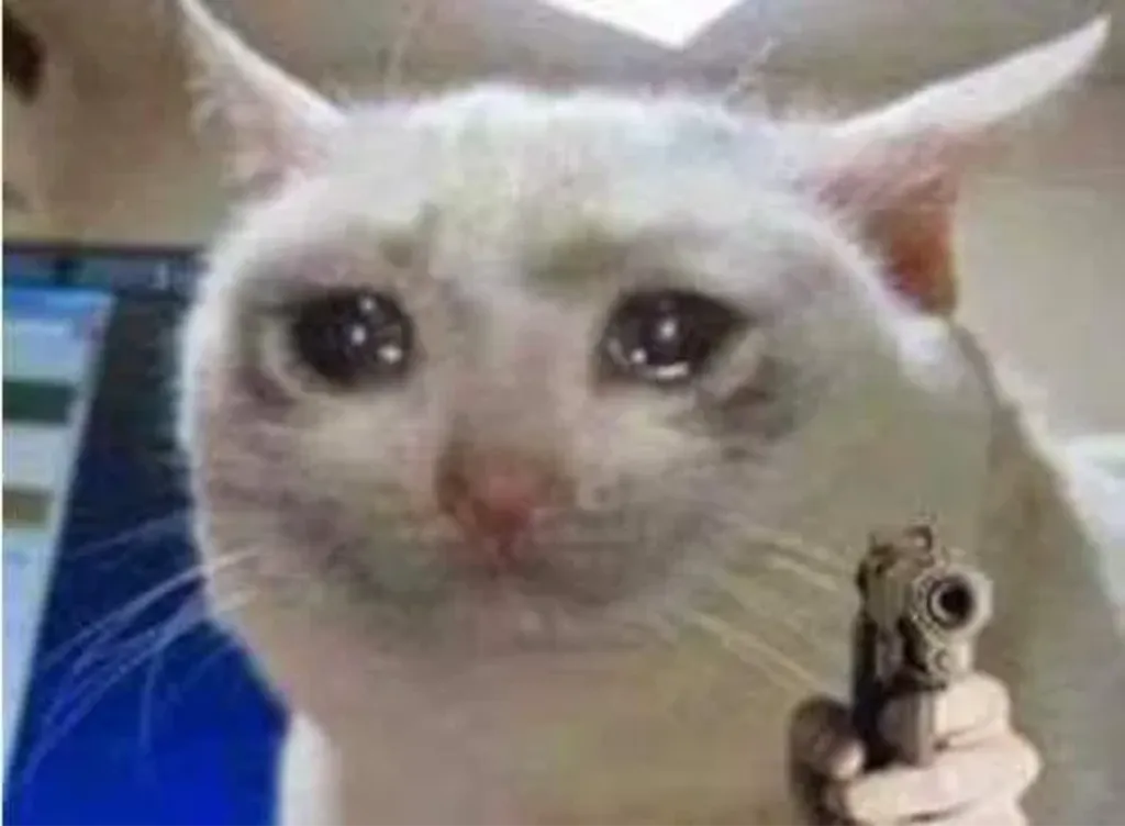 Meme Image