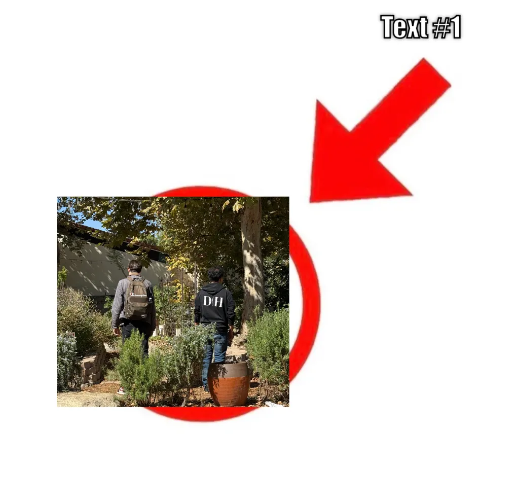Meme Image