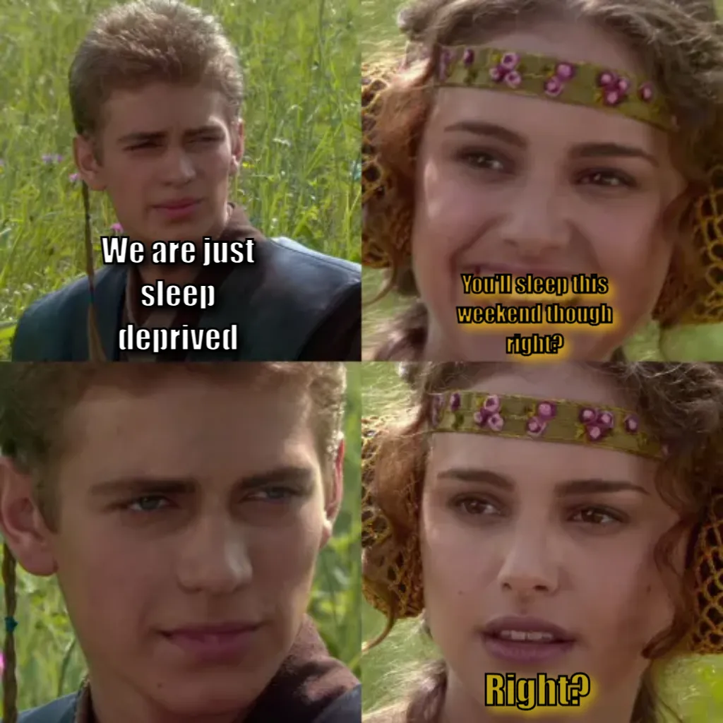 Anakin Padme 4 Panel