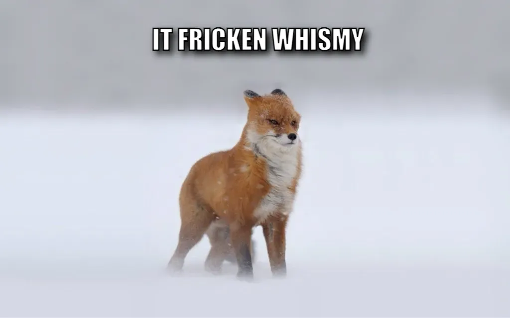 Meme Image