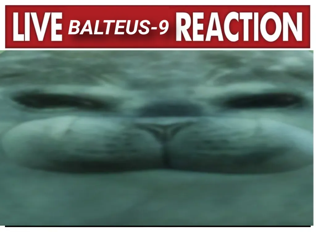 Meme Image