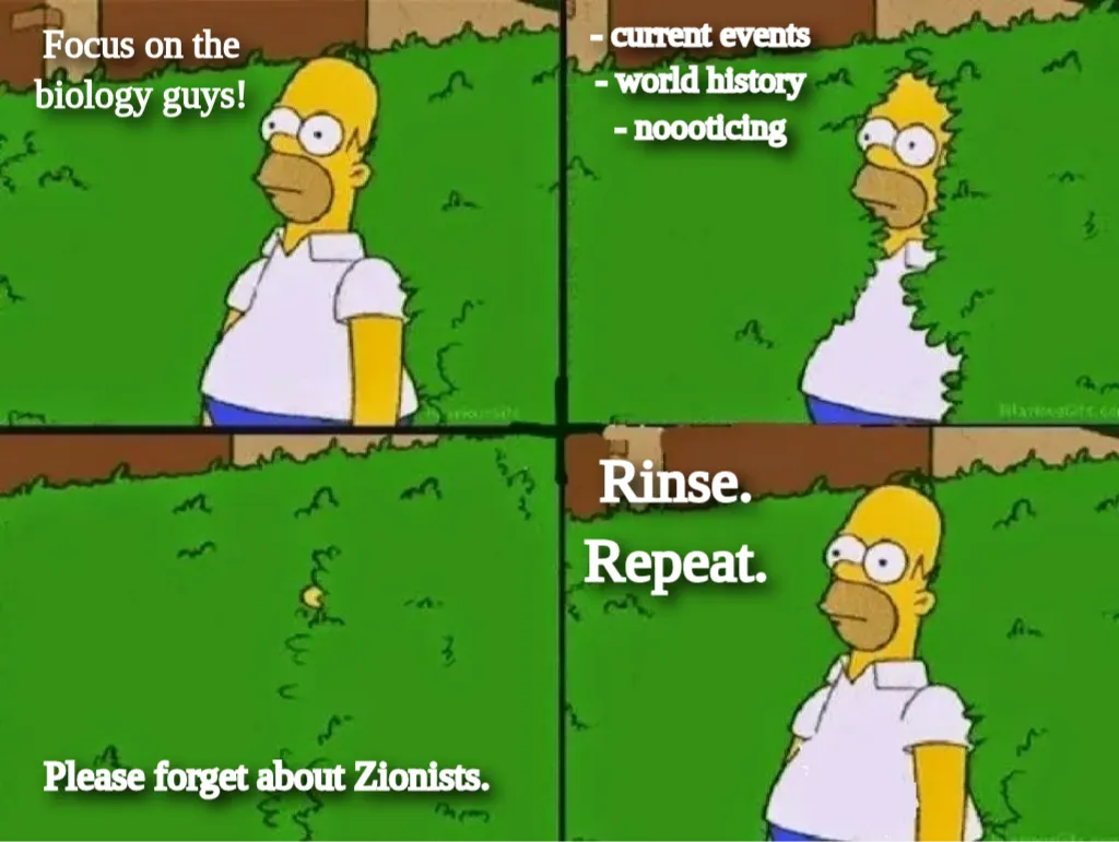 Meme Image