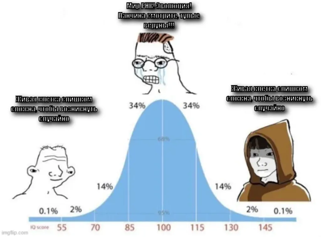 Meme Image
