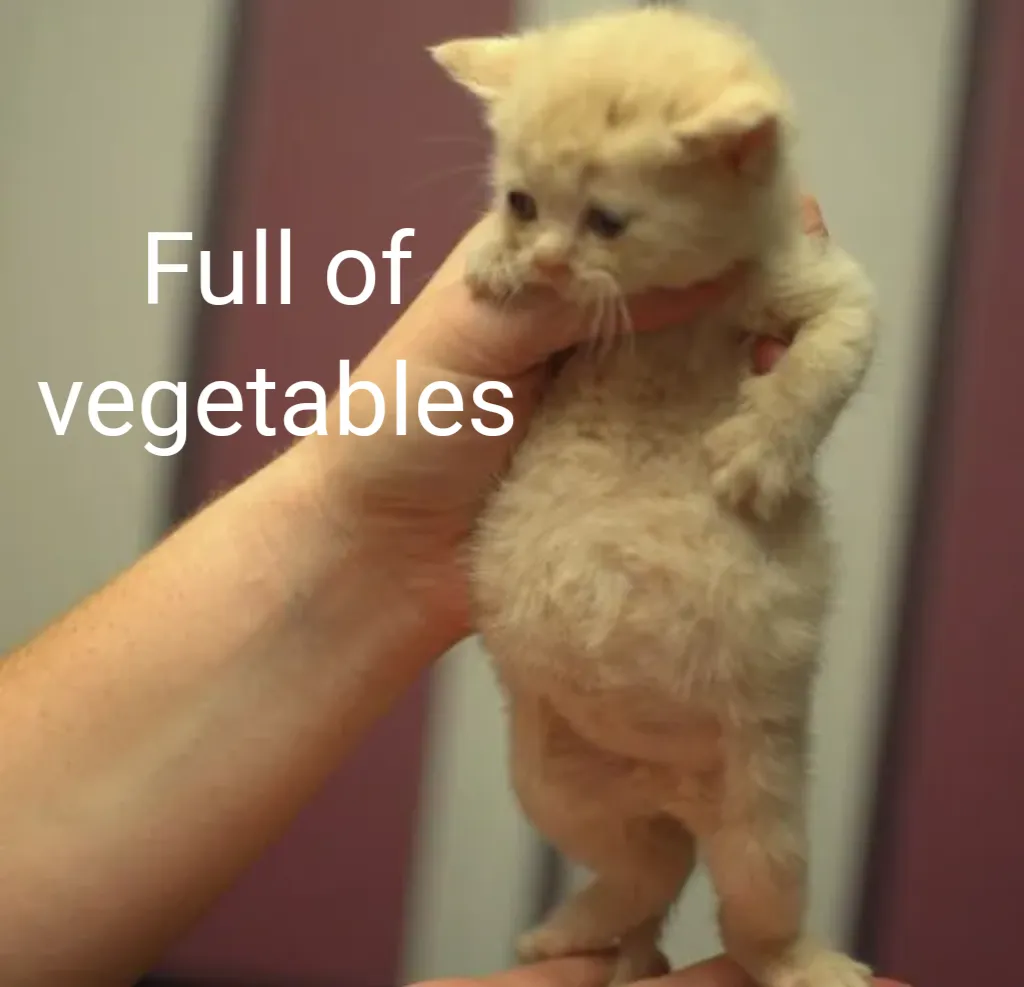 Meme Image