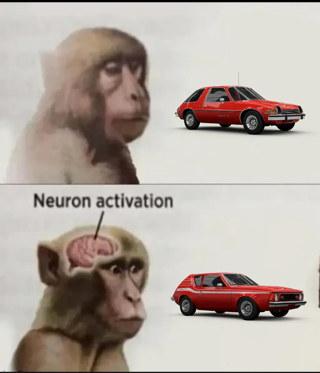 neuron activation