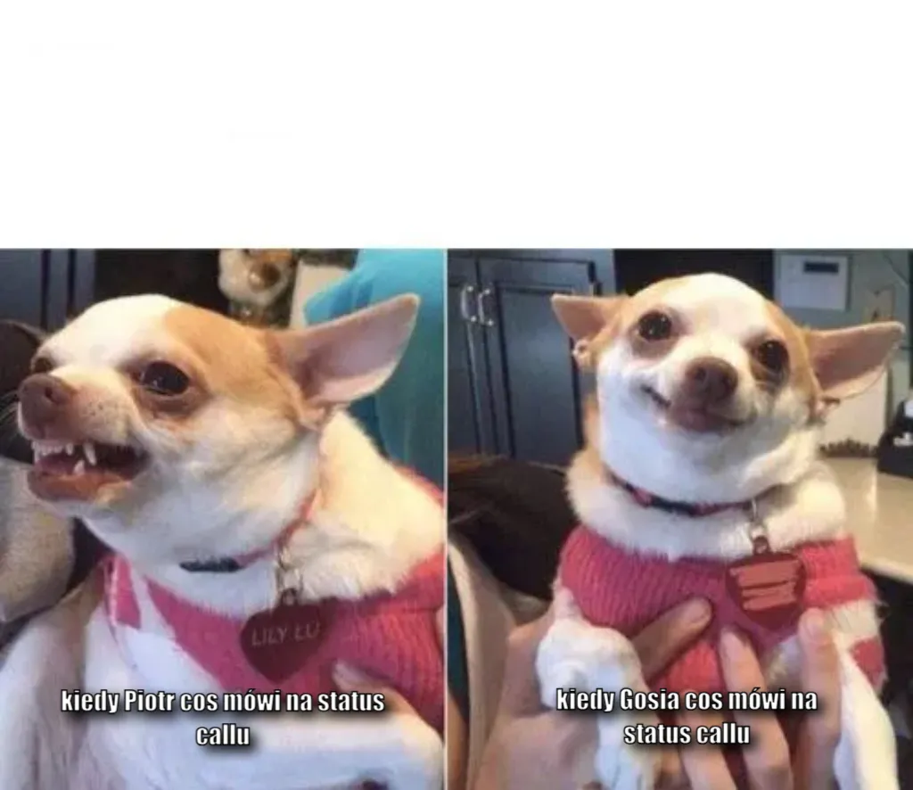 Meme Image