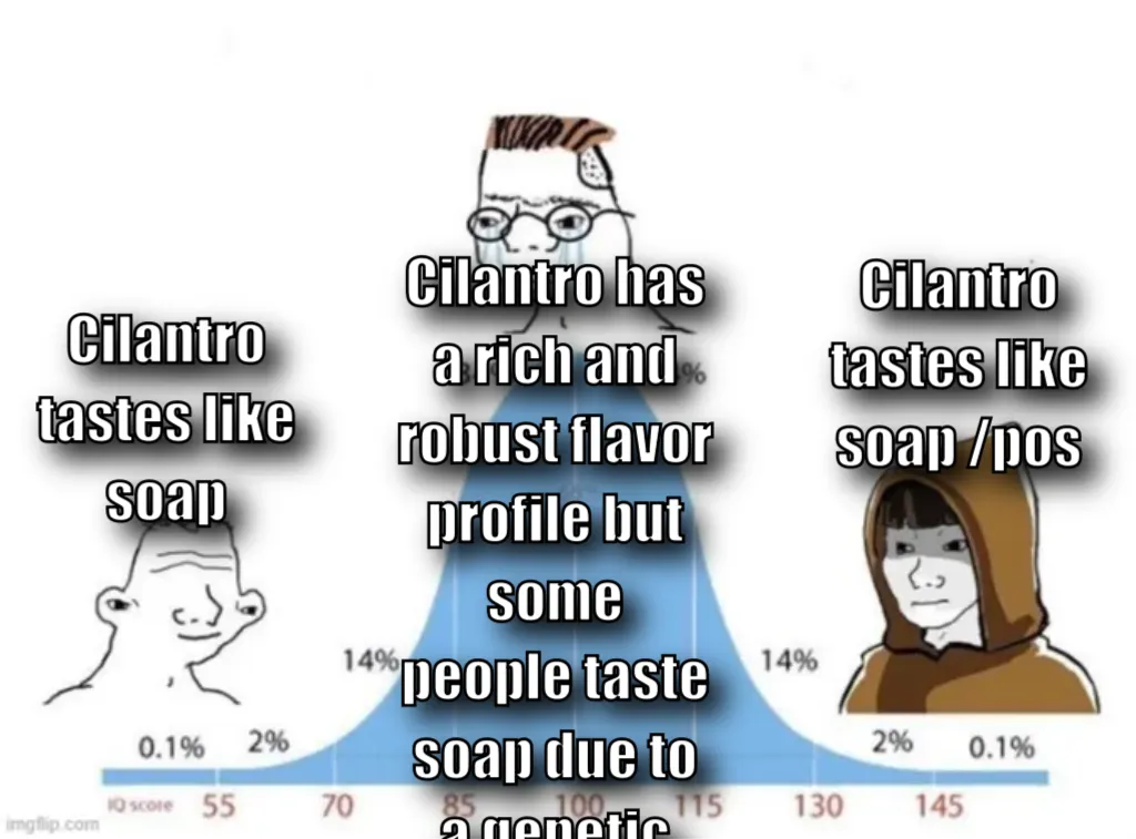 bell curve