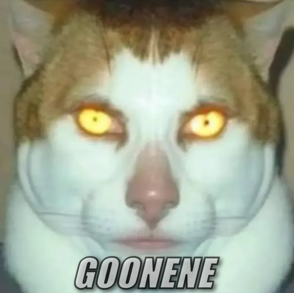 Meme Image