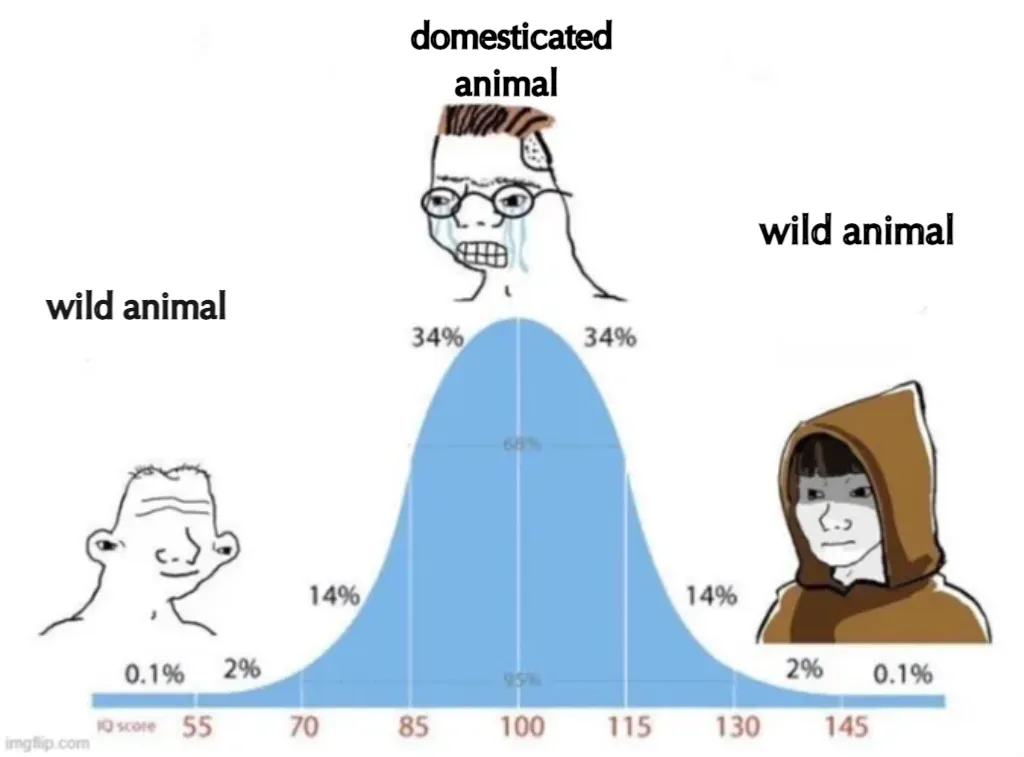 bell curve