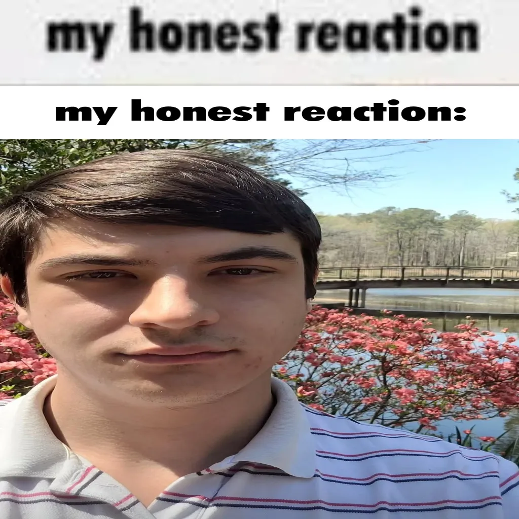 My Honest Reaction