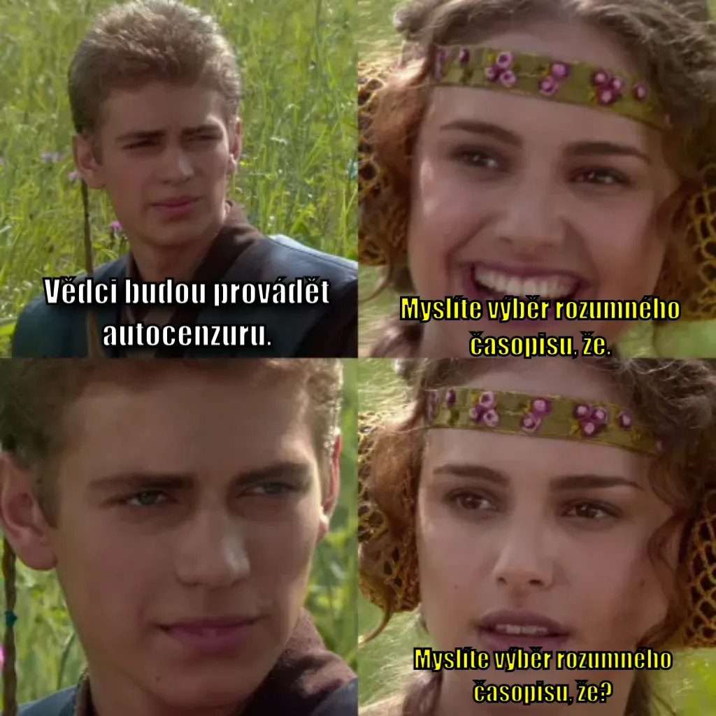 Anakin Padme 4 Panel