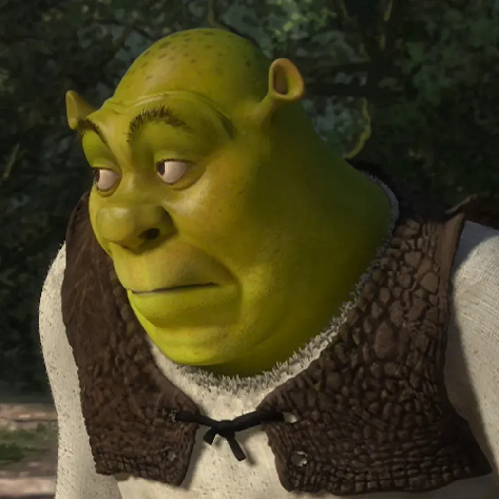 Shrek's funny face