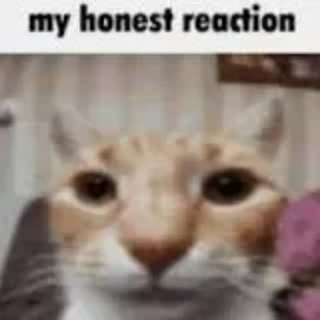 Meme Image