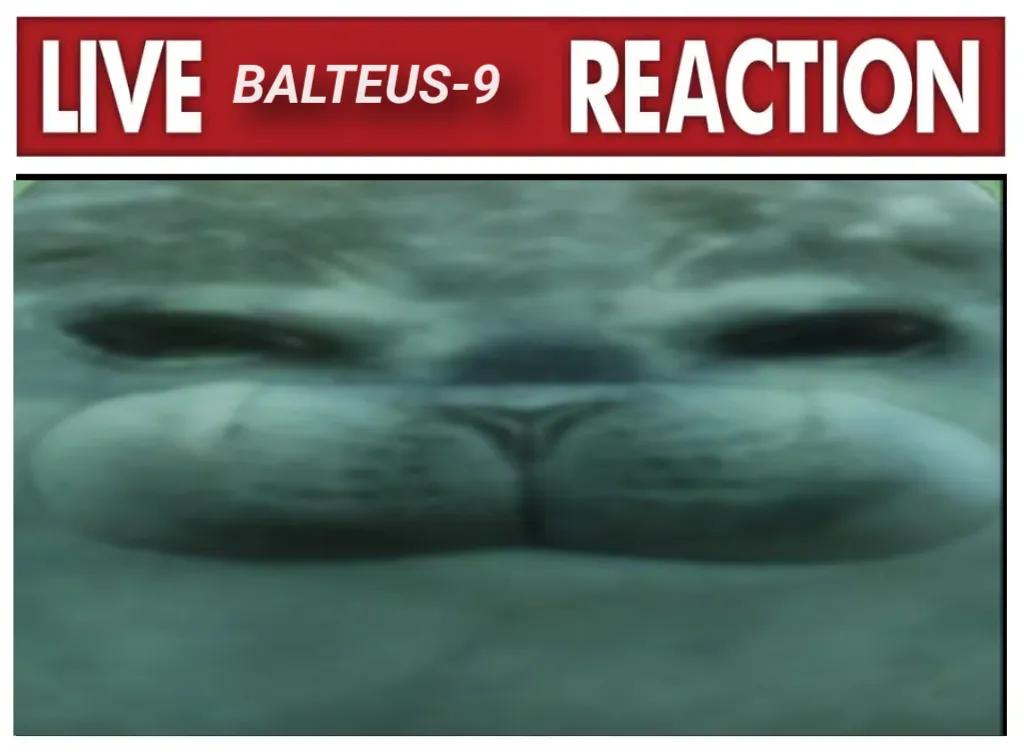 Meme Image