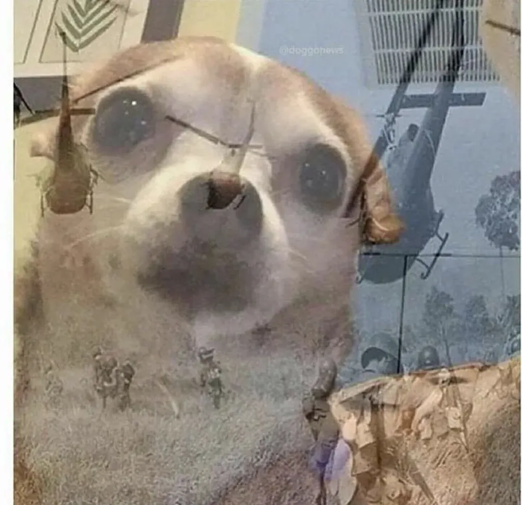 Meme Image