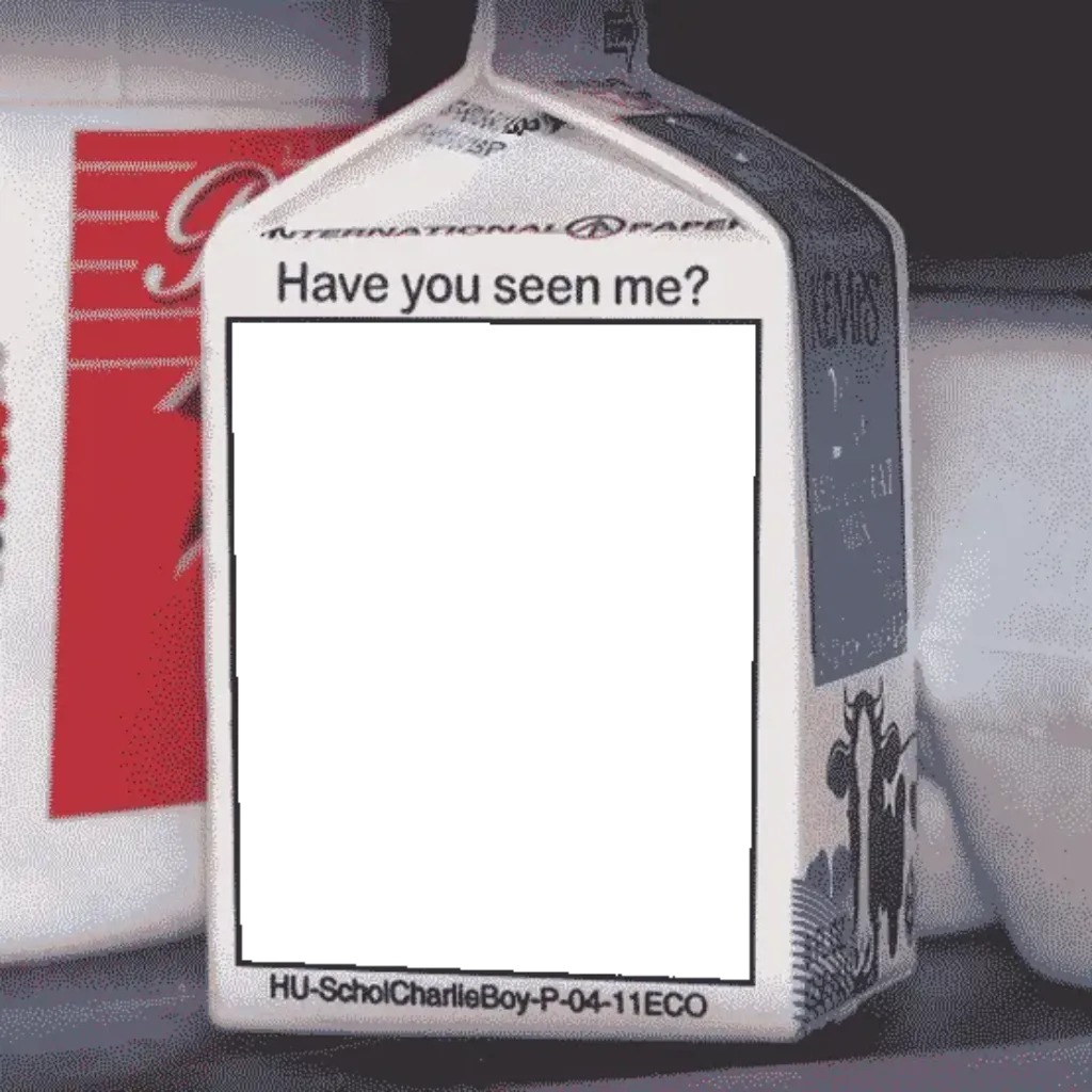 Missing Person