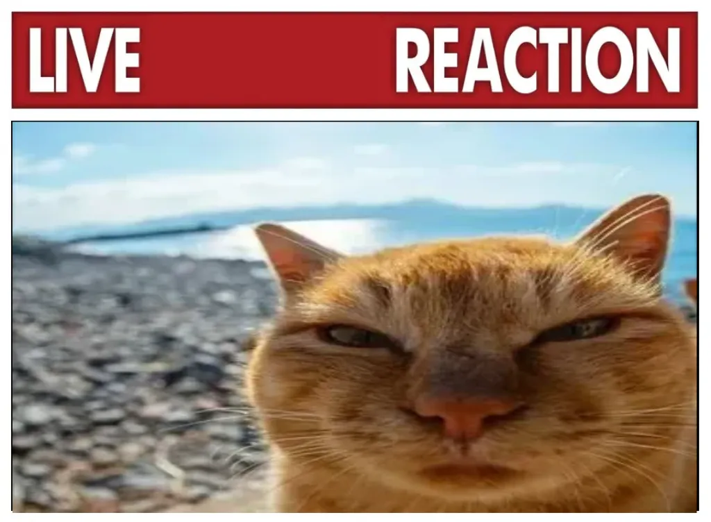 Meme Image