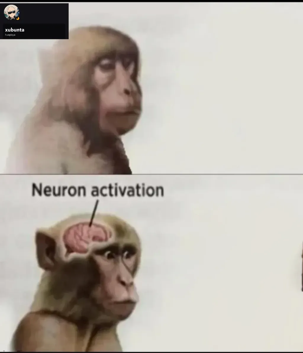 neuron activation