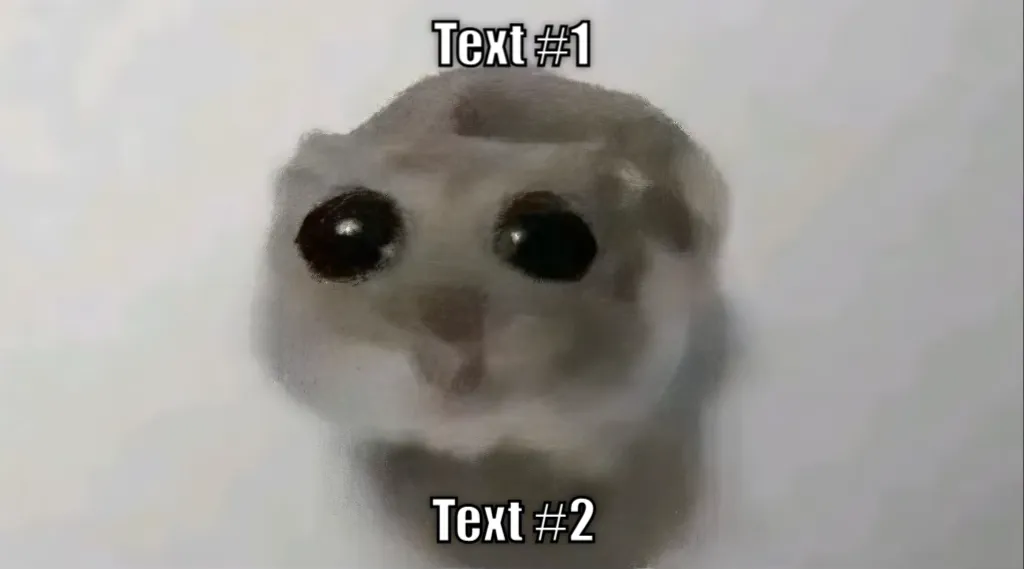 Sad Hamster / Hamster With Big Eyes / Crying Hamster