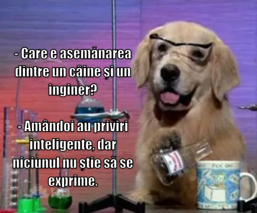 Meme Image