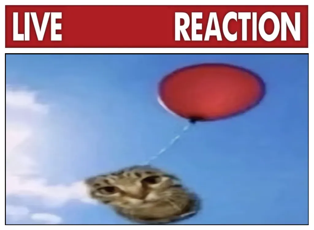 Meme Image