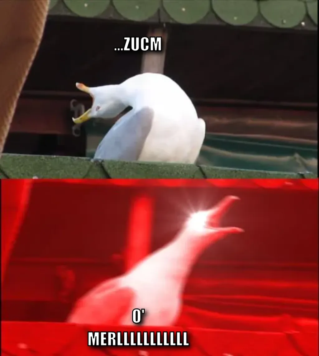 screaming seagull