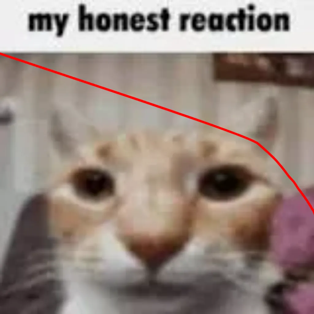 My Honest Reaction